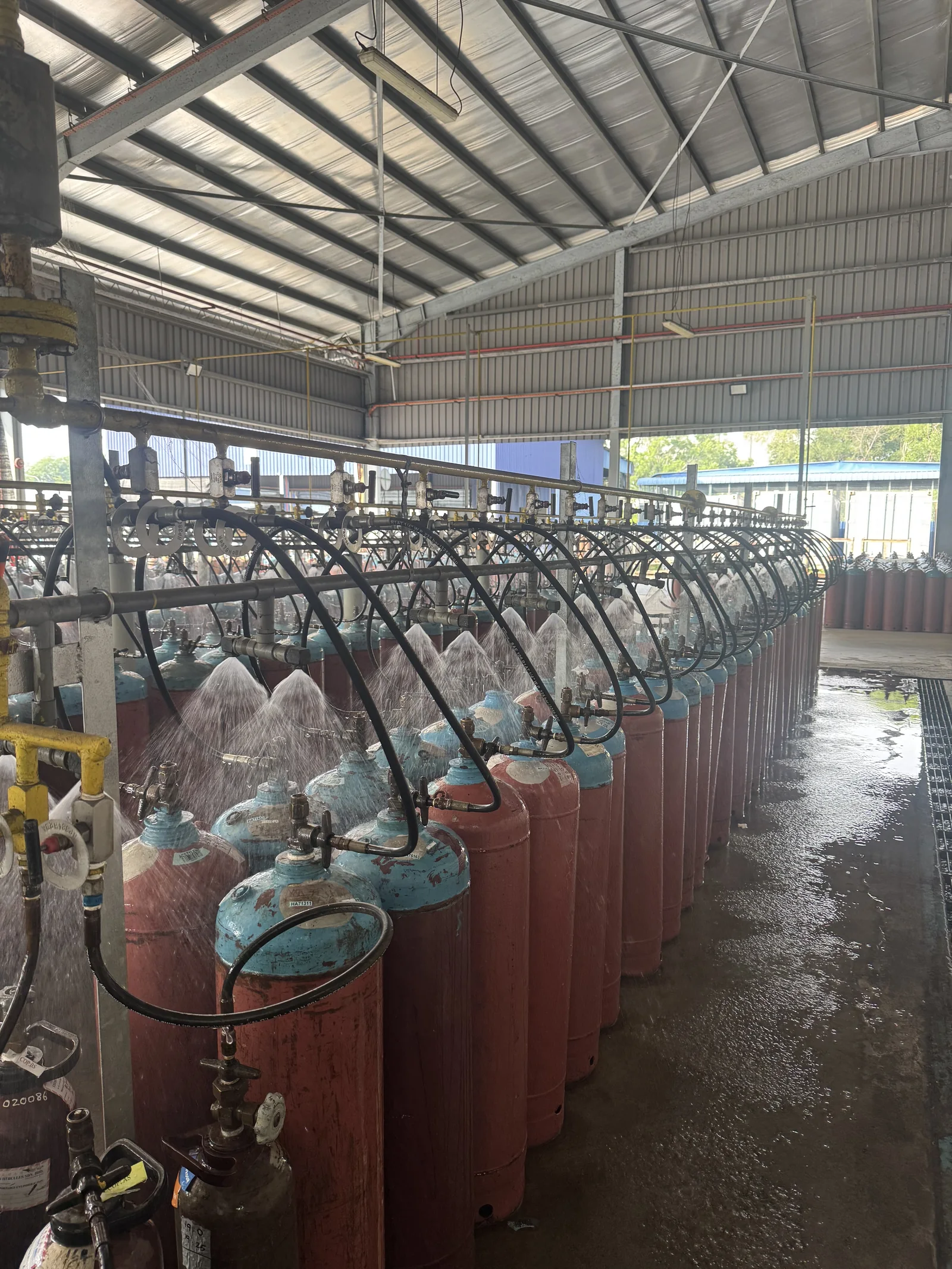 Rows of dissolved acetylene cylinders coupled to the filling manifold in a KIGL filling hall