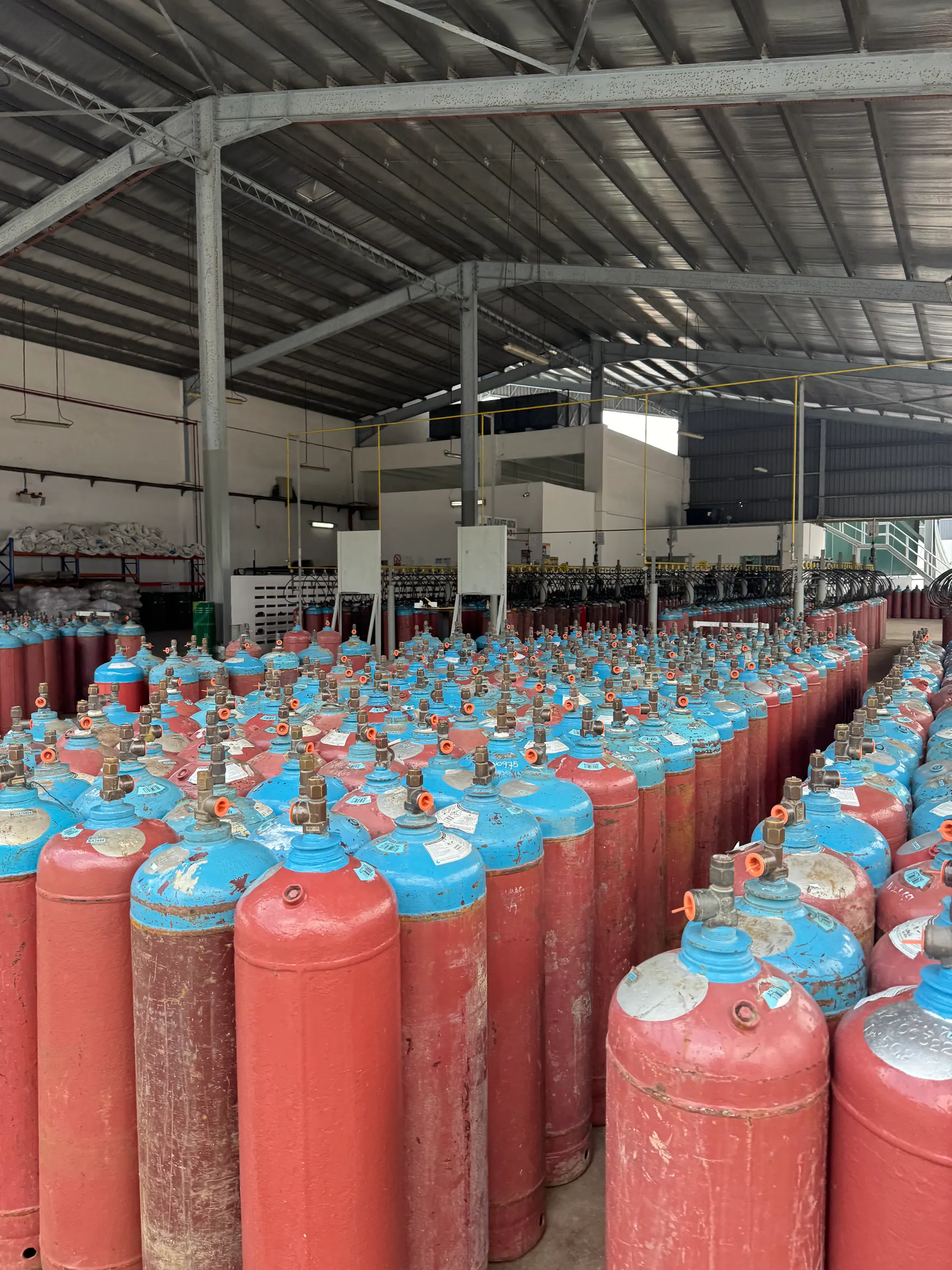 Cylinder storage hall filled with rows of gas cylinders under a steel roof, segregated by gas